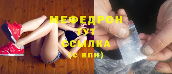 гидра Богородицк