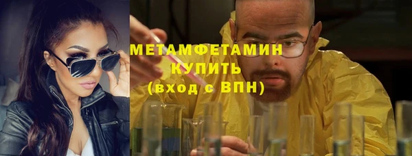 гидра Богородицк