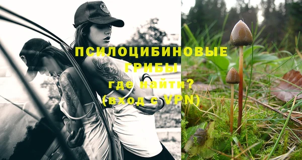 гидра Богородицк