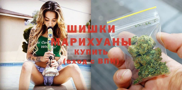 гидра Богородицк