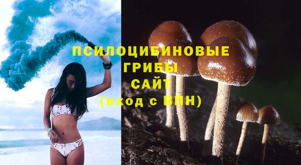 гидра Богородицк