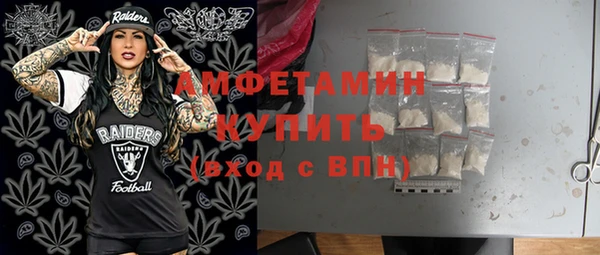 гидра Богородицк