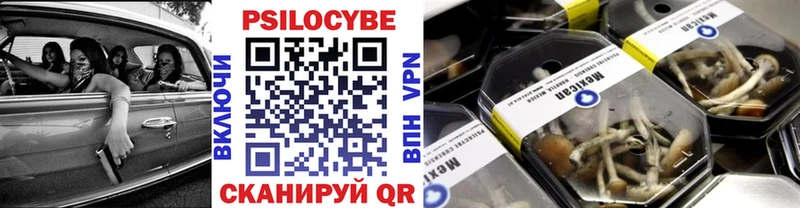 Псилоцибиновые грибы мицелий  Бузулук 